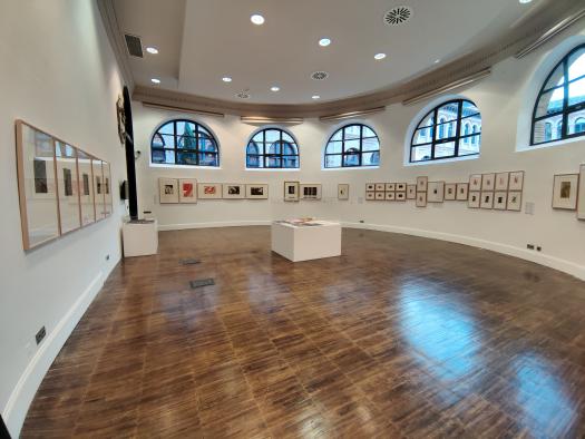 Sala África Ibarra